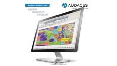 AUDACES Marker Standard - 3