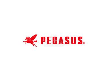 Seznam náhradních dílů pro Pegasus - parts list