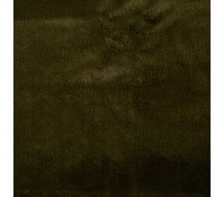 Castorini, Khaki