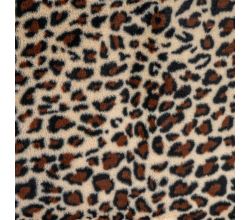 Fancy Fur Leopard, Leopard, Sand