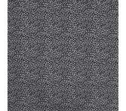 Cotton/EA Jersey Print, Ecru