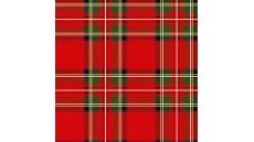 Cute Fleece Print - Checks, Red