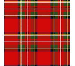 Cute Fleece Print, Checks, Red