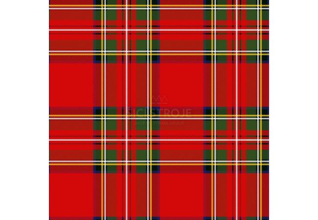 Cute Fleece Print - Checks, Red