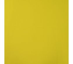 Soft Shell "Rainy", Lime