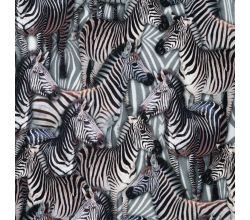 Half Panama Digital Print, Zebra, Black