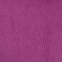 21w Pa Cord - Cyclam