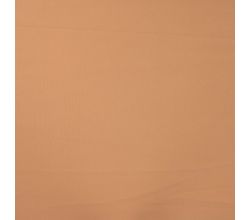 Elona 2 Way, Camel