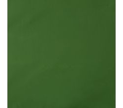 Memory Angela, Apple Green