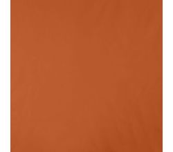 Memory Angela, Dusty Orange