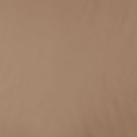 Memory Angela - Camel