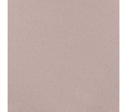 Organic Cotton Fleece - Salmon Melange