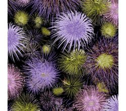 Viscose/Sp Jersey Print - Fireworks, Purple