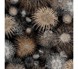 Viscose/Sp Jersey Print, Fireworks, Caramel