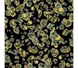Viscose Twill Print, Tear Drops, Khaki