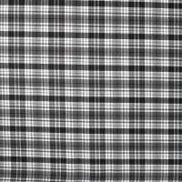 Bengaline Check - Checks, Black