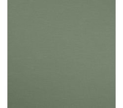 Single Jersey Cotton Elastane, Dusty Mint