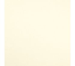 Single Jersey Cotton Elastane, Ecru