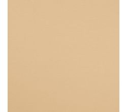 Single Jersey Cotton Elastane, Champagne