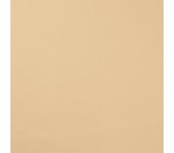 French Terry Brushed, Champagne