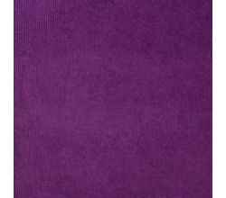 Jersey Cord Florida - Purple