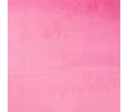 Chilly, Fuchsia