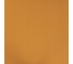 2/1 Rib, Ochre