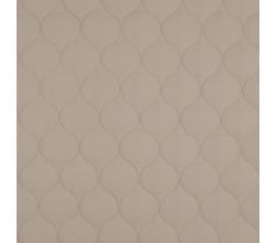 Prošev tenčí - béžová