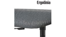 Průmyslová židle, odolná, ocel, dlouhá životnost  ERGOLINIA EVO2