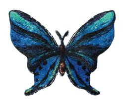 Nášivka motýl, samolepicí/nažehlovací, modrá/černá
