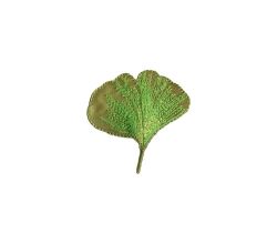 Nášivka list ginkgo, nažehlovací, zelená