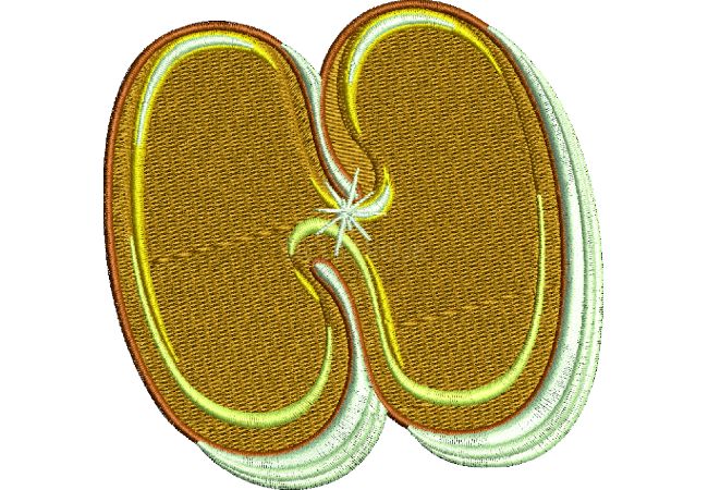 Výšivka písmeno N - varianta 2